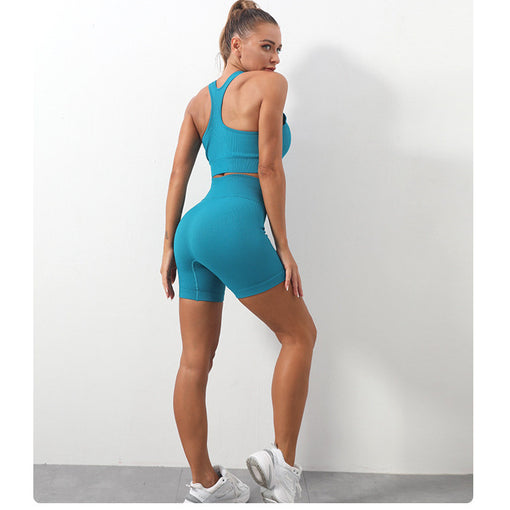 2pcs Seamless Anti-Vibration Yoga Sports Set Racer Back Shorts [GTYG0027]