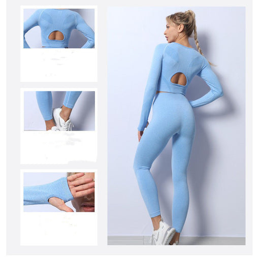 2pcs Seamless Quick-Drying Yoga Sports Set Long Sleeves Leggings [GTYG0029]