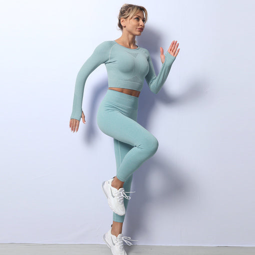 2pcs Seamless Quick-Drying Yoga Sports Set Long Sleeves Leggings [GTYG0029]