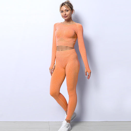 2pcs Seamless Quick-Drying Yoga Sports Set Long Sleeves Leggings [GTYG0029]