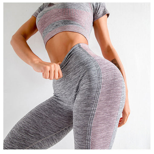 2pcs Seamless Yoga Sports Set Short Sleeves Leggings [GTYG0030]