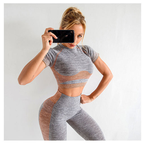 2pcs Seamless Yoga Sports Set Short Sleeves Leggings [GTYG0030]