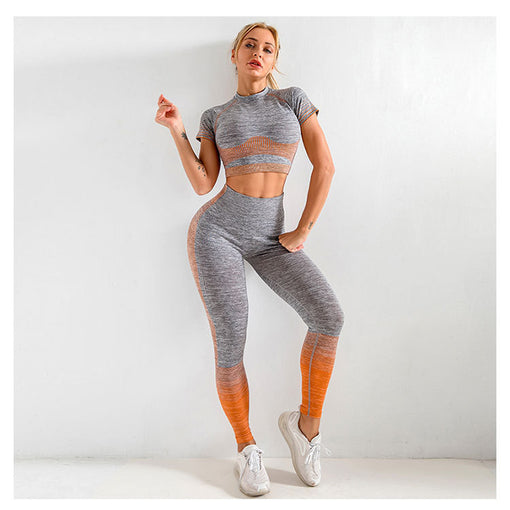 2pcs Seamless Yoga Sports Set Short Sleeves Leggings [GTYG0030]