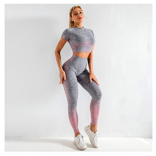 2pcs Seamless Yoga Sports Set Short Sleeves Leggings [GTYG0030]