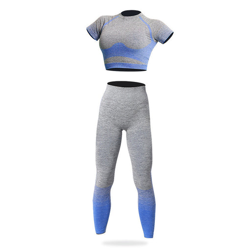 2pcs Seamless Yoga Sports Set Short Sleeves Leggings [GTYG0030]