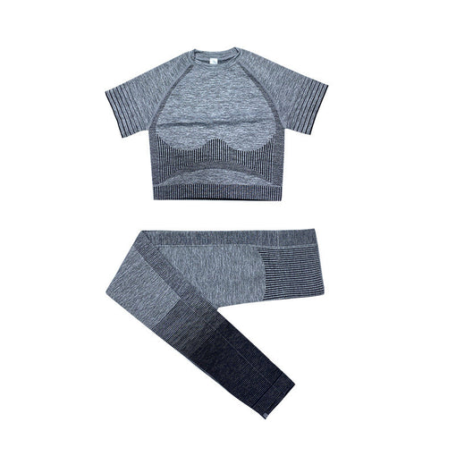 2pcs Seamless Yoga Sports Set Short Sleeves Leggings [GTYG0030]