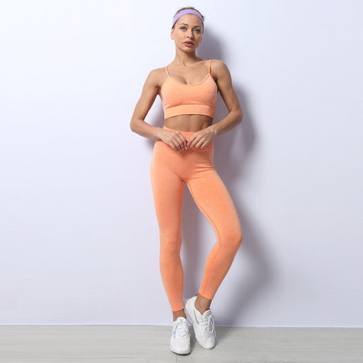 2pcs Quick-Drying Yoga Sports Set Sports Bra Leggings [GTYG0034]