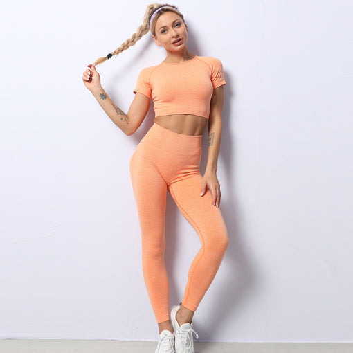 2pcs Seamless Lift Butt Quick-Drying Yoga Sports Set Short Sleeves Leggings [GTYG0035]