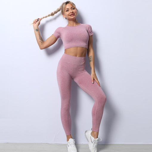 2pcs Seamless Lift Butt Quick-Drying Yoga Sports Set Short Sleeves Leggings [GTYG0035]