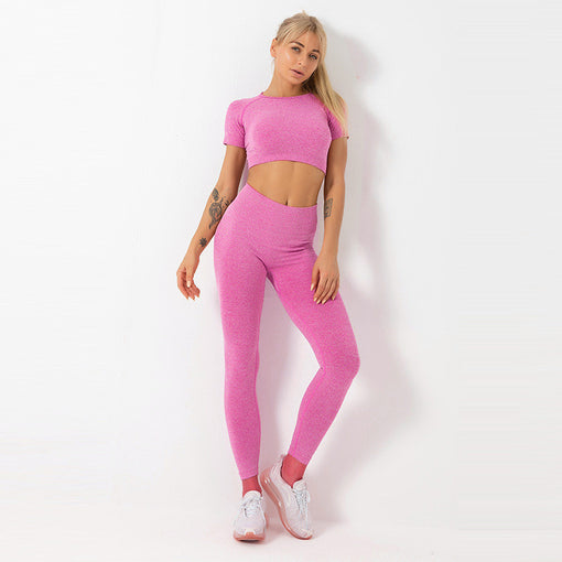2pcs Seamless Lift Butt Quick-Drying Yoga Sports Set Short Sleeves Leggings [GTYG0035]