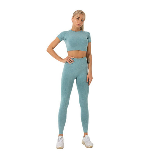 2pcs Seamless Lift Butt Quick-Drying Yoga Sports Set Short Sleeves Leggings [GTYG0035]