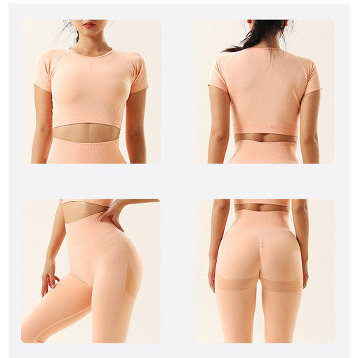 2pcs Seamless Lift Butt Quick-Drying Yoga Sports Set Short Sleeves Leggings [GTYG0037]