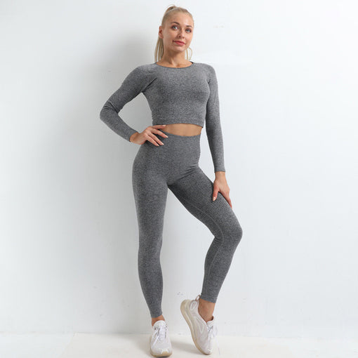 2pcs Lift Butt Quick-Drying Yoga Sports Set Long Sleeves Leggings [GTYG0045]
