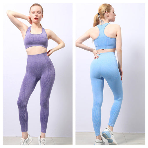 2pcs Seamless Yoga Sports Set Racer Back Leggings [GTYG0049]