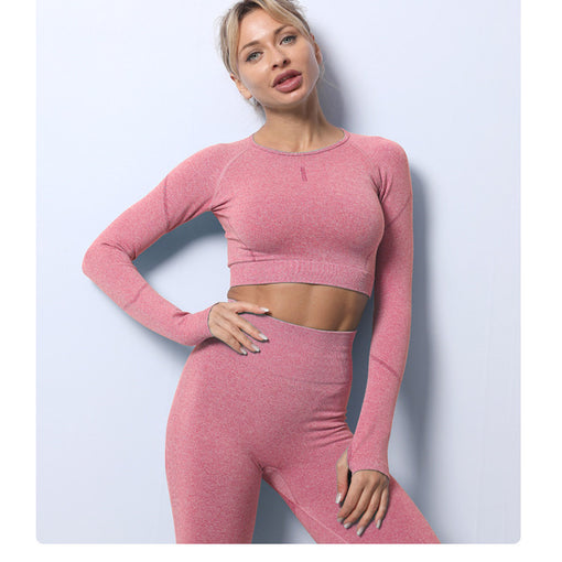 2pcs Seamless Yoga Sports Set Long Sleeves Leggings [GTYG0053]