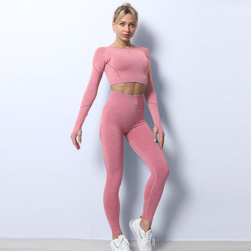 2pcs Seamless Yoga Sports Set Long Sleeves Leggings [GTYG0053]