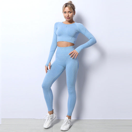 2pcs Seamless Yoga Sports Set Long Sleeves Leggings [GTYG0053]