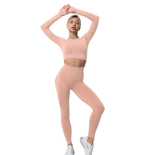 2pcs Seamless Yoga Sports Set Long Sleeves Leggings [GTYG0053]