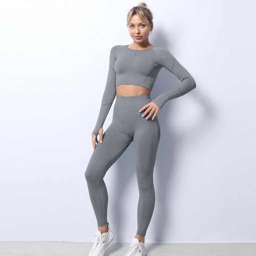 2pcs Seamless Yoga Sports Set Long Sleeves Leggings [GTYG0053]
