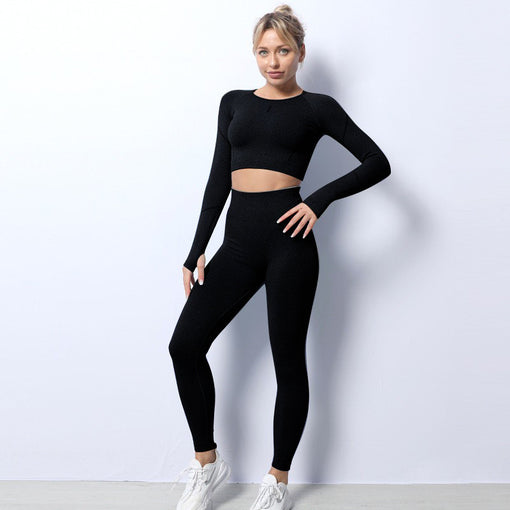 2pcs Seamless Yoga Sports Set Long Sleeves Leggings [GTYG0053]