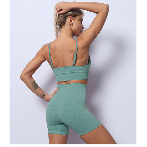 2pcs Seamless Yoga Sports Set Sports Bra Shorts [GTYG0058]