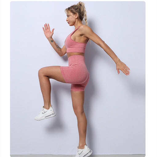 2pcs Seamless Yoga Sports Set Sports Bra Shorts [GTYG0058]