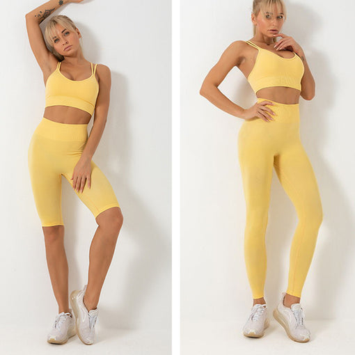 2pcs Seamless Quick-Drying Yoga Sports Set Sports Bra Shorts [GTYG0062]