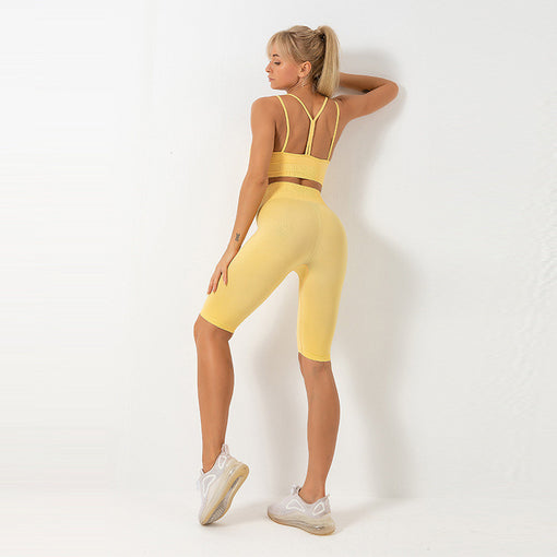 2pcs Seamless Quick-Drying Yoga Sports Set Sports Bra Shorts [GTYG0062]