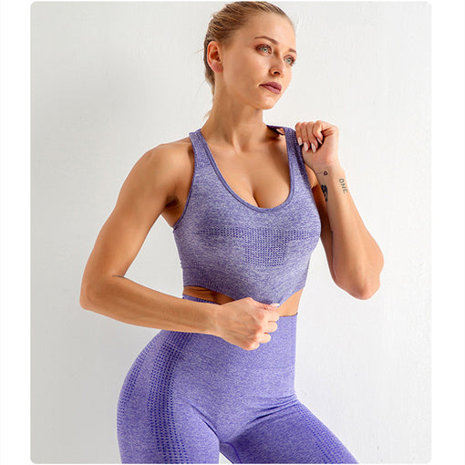 2pcs Seamless Anti-Vibration Yoga Sports Set Racer Back Leggings [GTYG0063]
